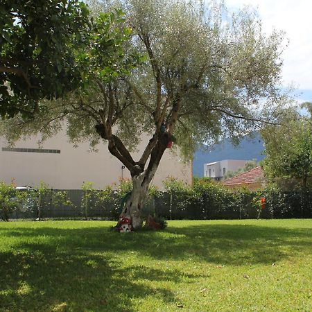 Holiday Lefkas Moonlight Luxury Appartments Nikiana Eksteriør billede